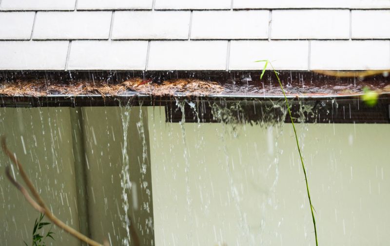 Clogged Gutters with Debris