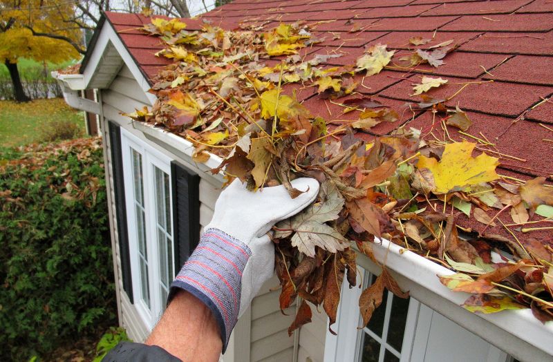 Home Gutter Maintenance