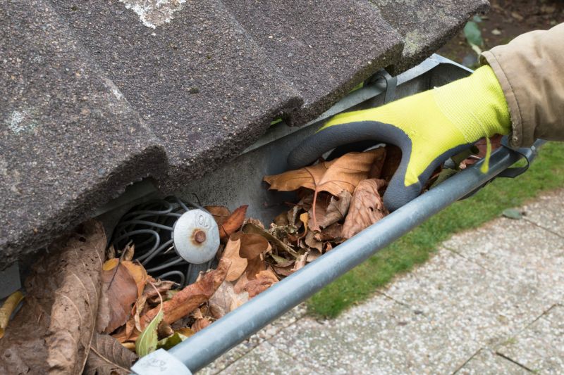 Cleaned Gutter System