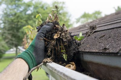 Roof Gutter Cleaning