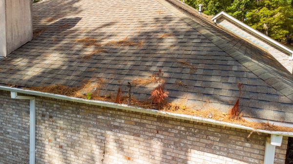 Cost of Gutter Pine Needle Removal in Acworth