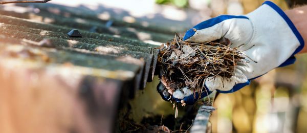 Pine Needle Gutter Cleaning in Acworth